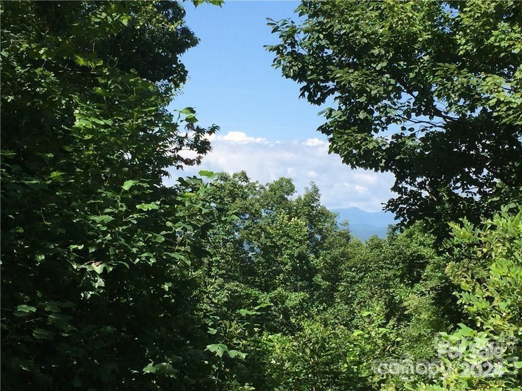 Property image 5 at 105 Crossvine Trail, Hendersonville, NC 28739