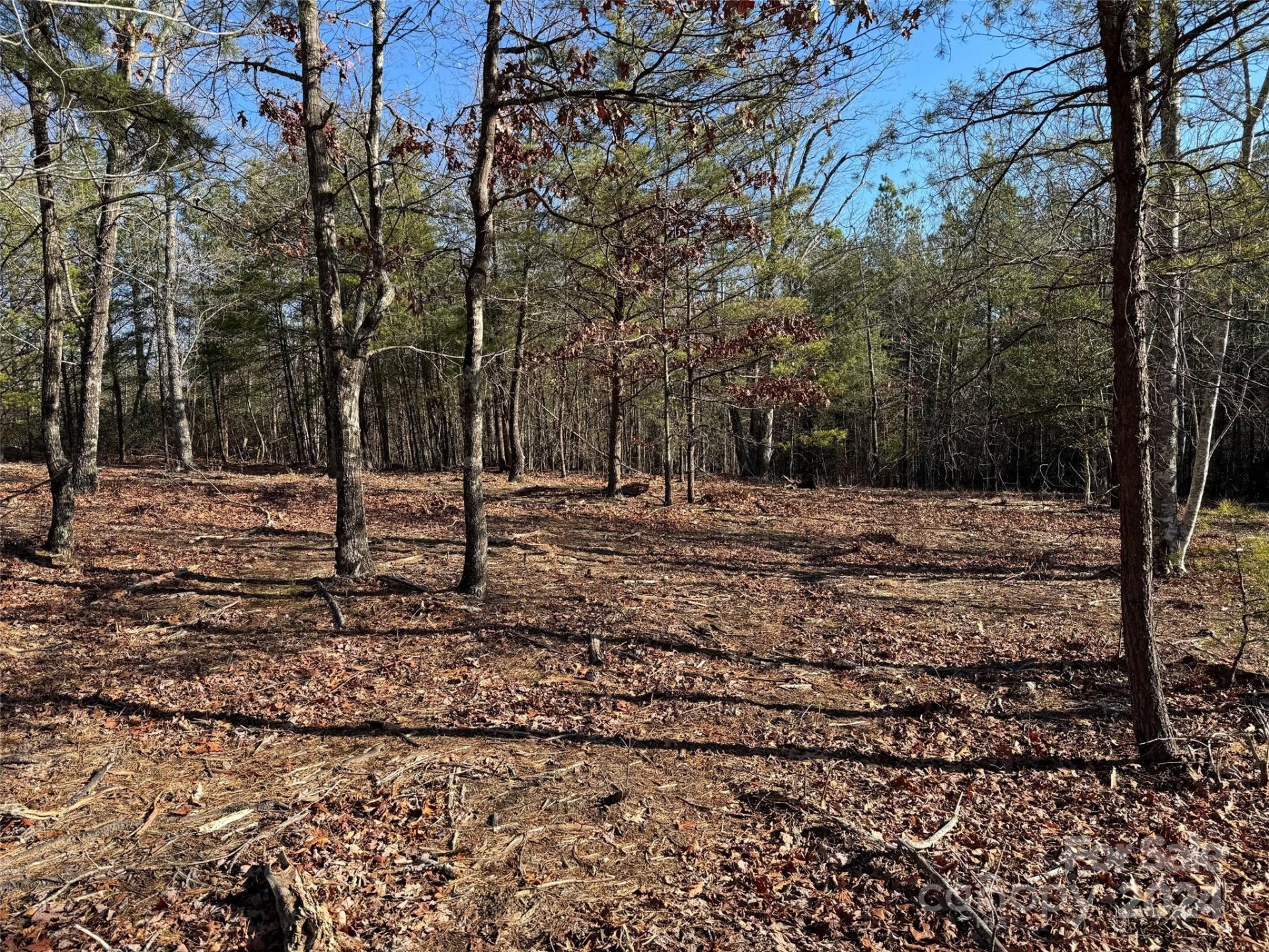 Property image 5 at 305 Bear Cliff Way, Lake Lure, NC 28746