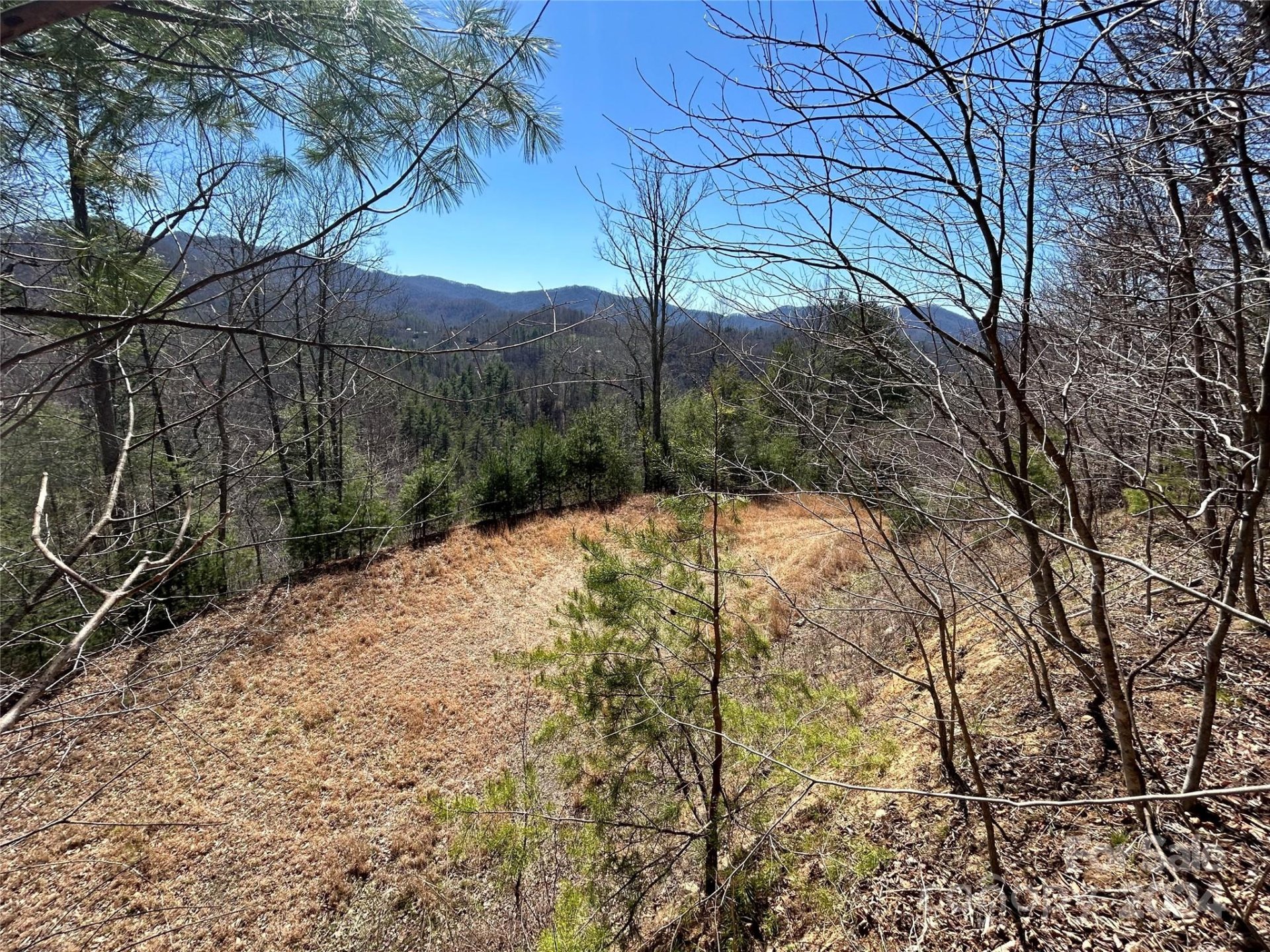 276 Overlook Lane