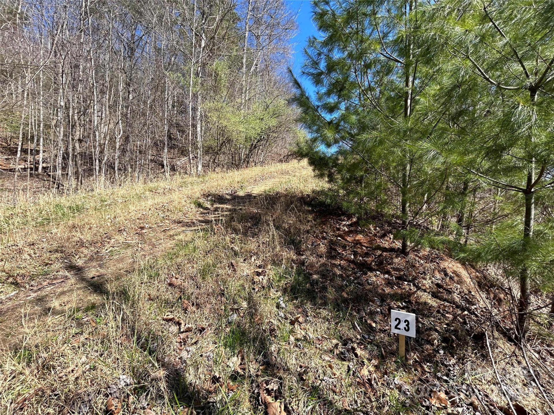Property image 5 at 276 Overlook Lane, Marshall, NC 28753
