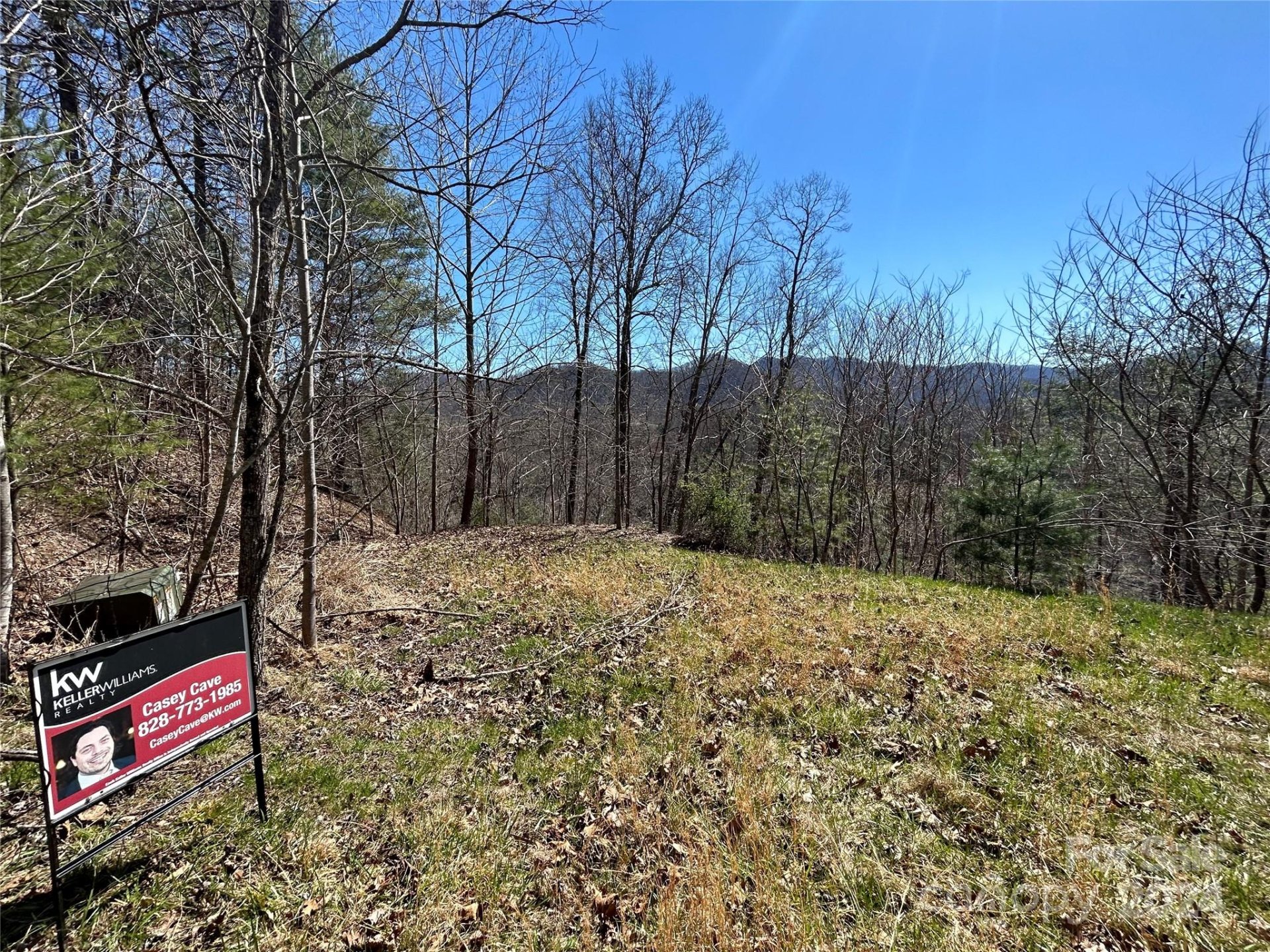 Property image 3 at 9999 Overlook Lane, Marshall, NC 28753