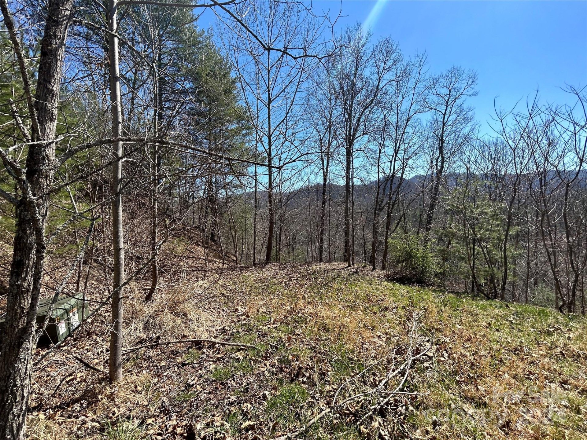 Property image 4 at 9999 Overlook Lane, Marshall, NC 28753
