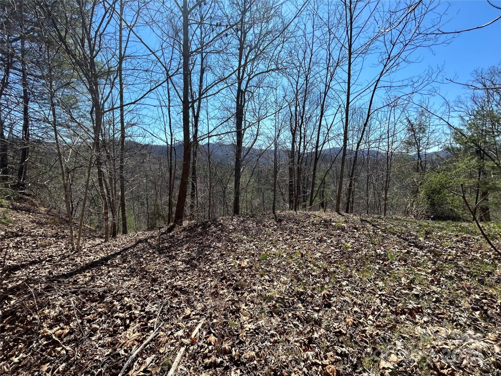 Property image 5 at 9999 Overlook Lane, Marshall, NC 28753