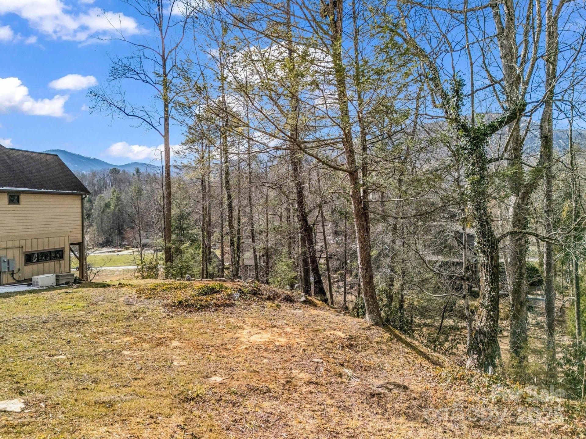 Property image 4 at 154 Chapel Point Road, Lake Lure, NC 28746