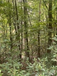 Property image 2 at 0 Lakewood Drive, Lake Lure, NC 28746