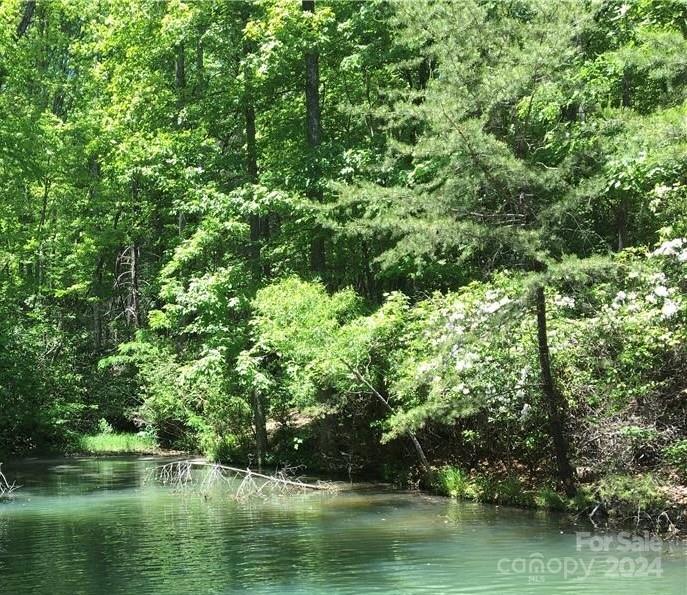 Property image 3 at 0 Lakewood Drive, Lake Lure, NC 28746