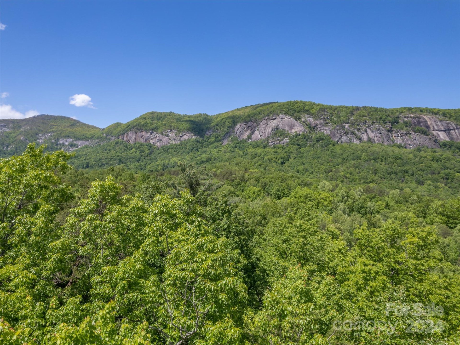 Property image 3 at 10 Garden Lane, Lake Lure, NC 28746