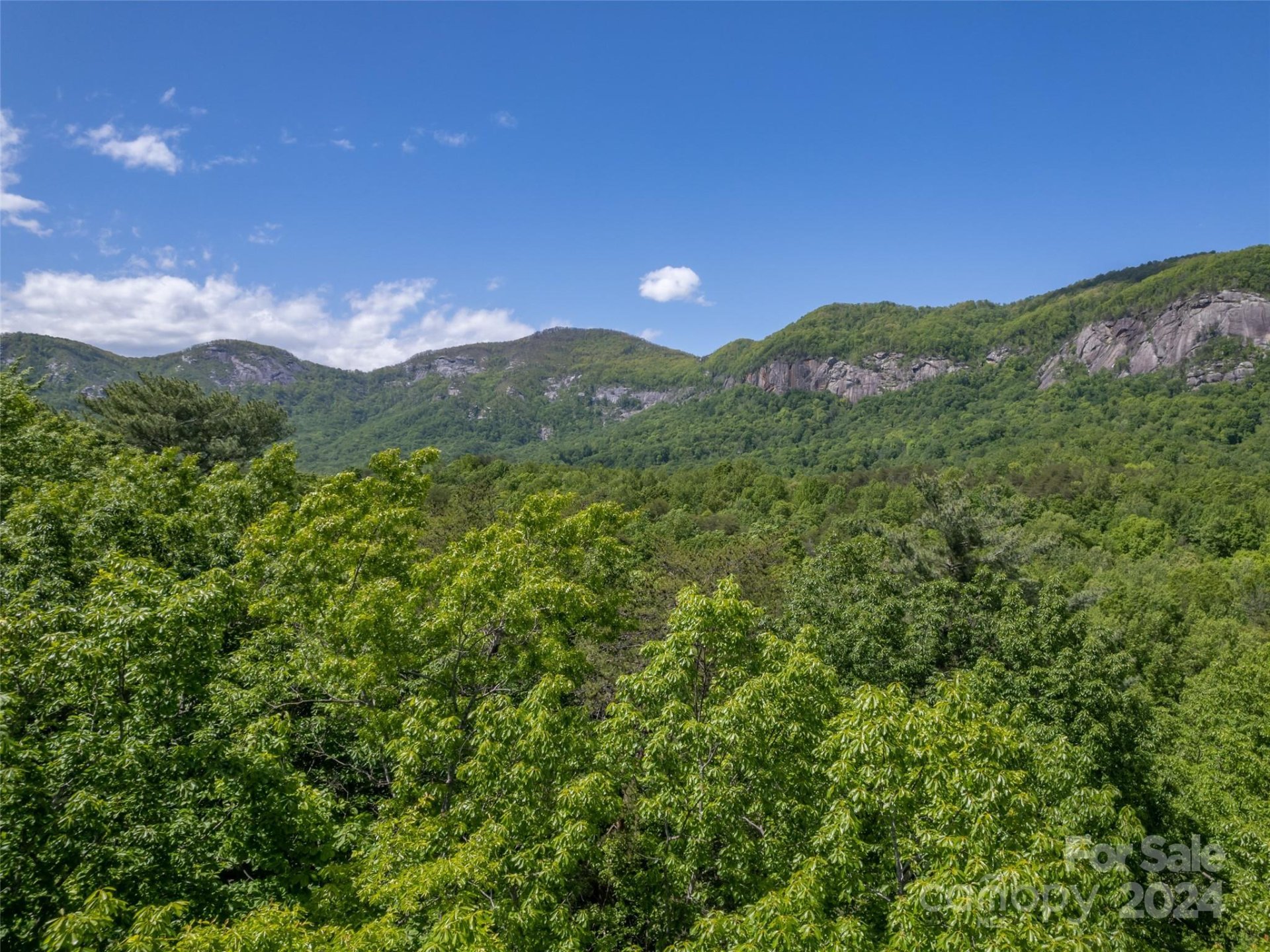 Property image 5 at 10 Garden Lane, Lake Lure, NC 28746
