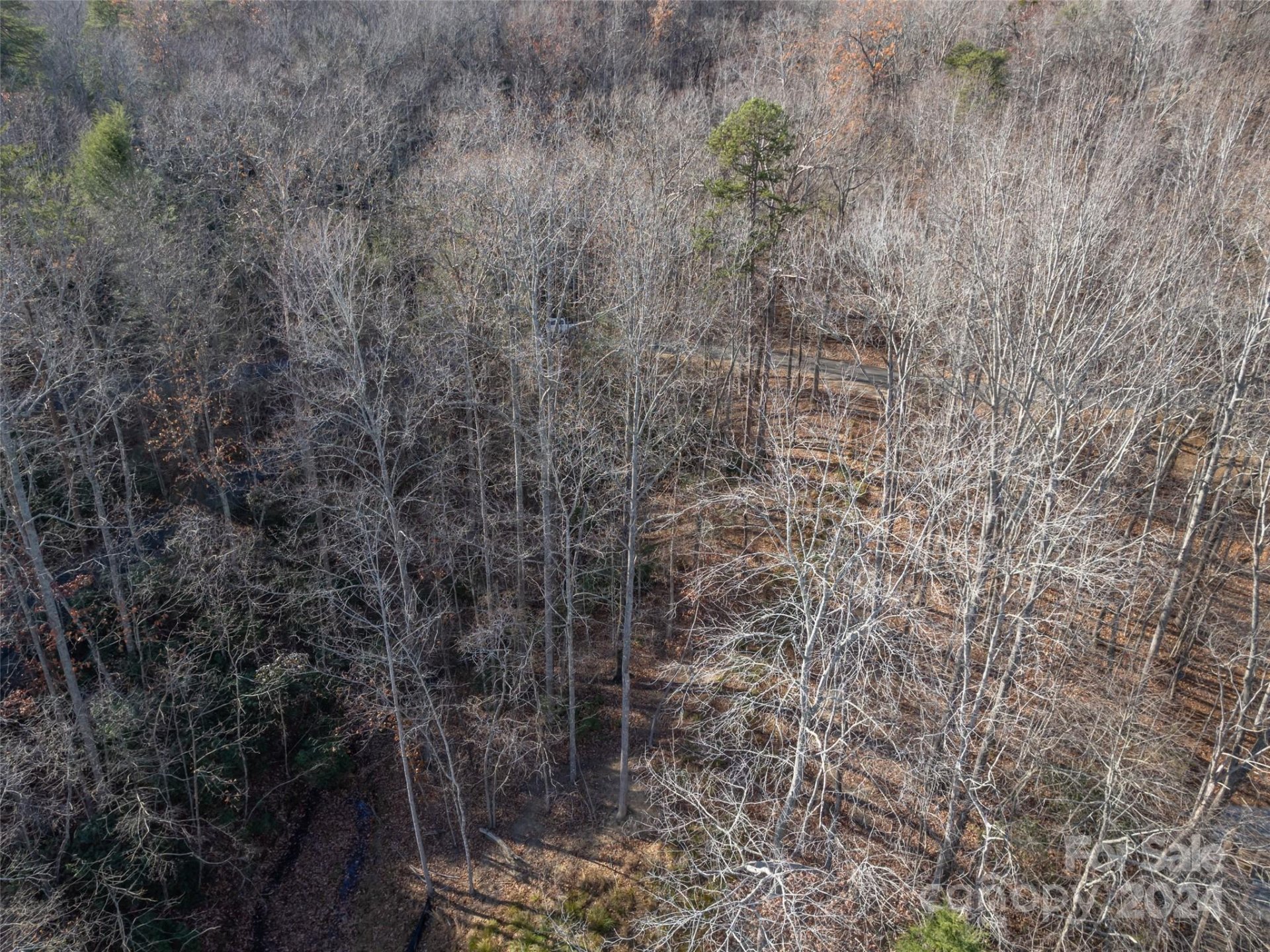Property image 4 at 86 Lakewood Drive, Lake Lure, NC 28746