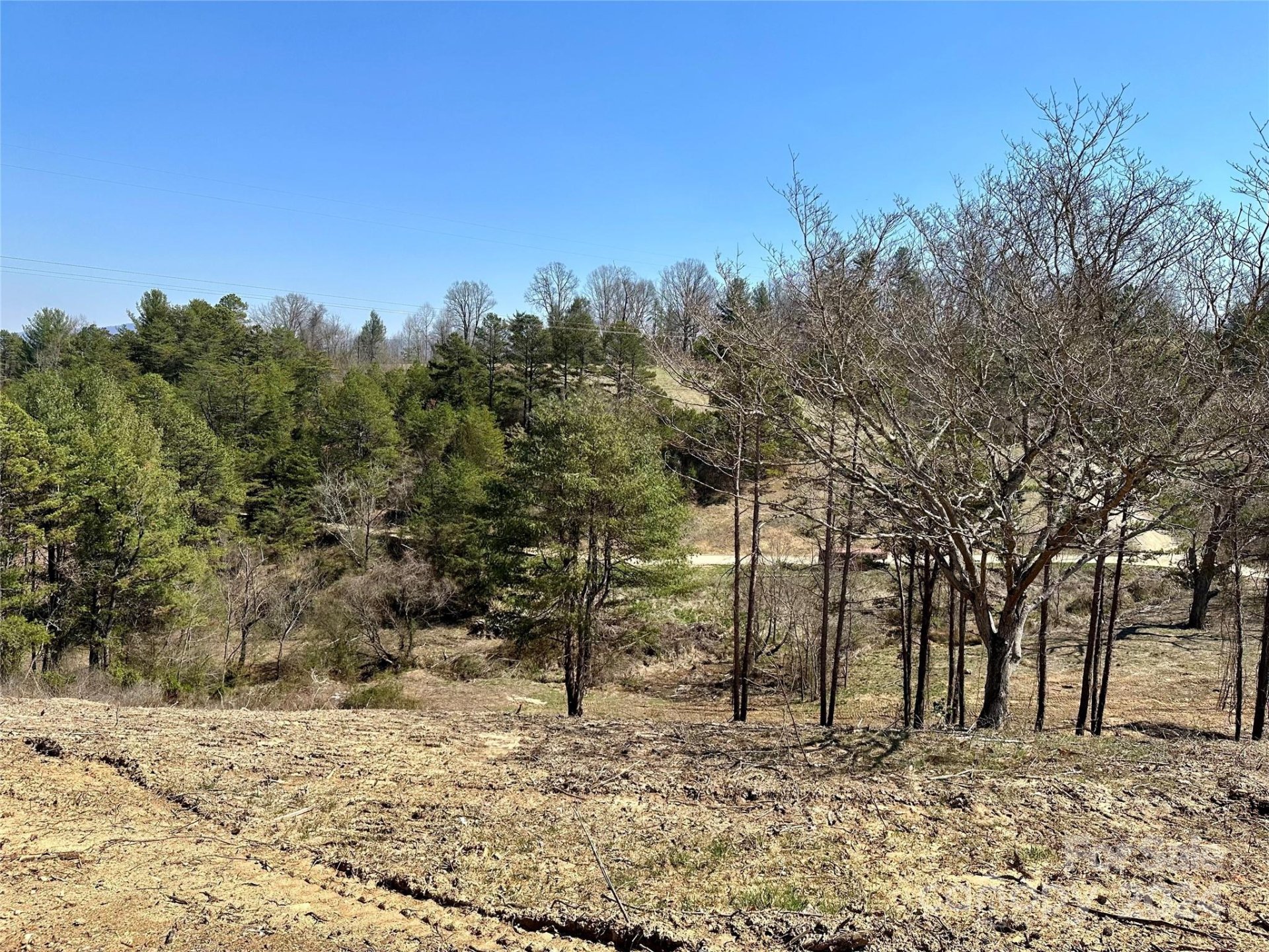 Property image 1 at 241 Westridge Farm Road, Asheville, NC 28804