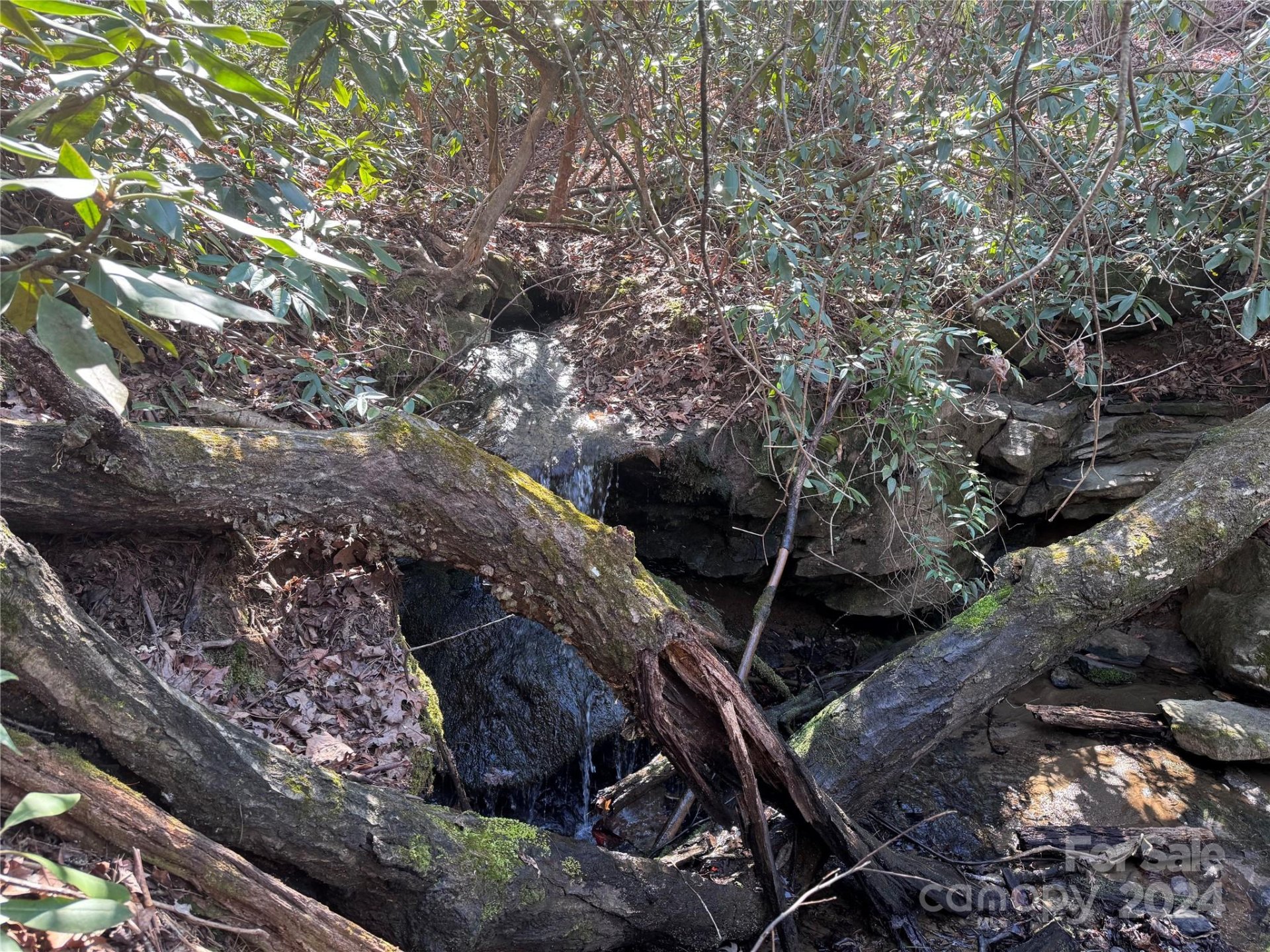 Property image 3 at 0 Redbird Drive, Lake Lure, NC 28746