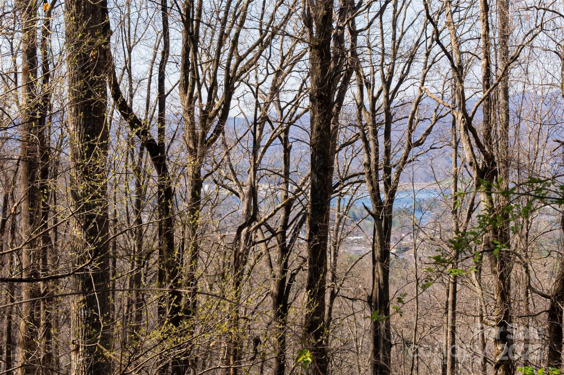 Property image 1 at 99999 Old Forest Drive, Asheville, NC 28803