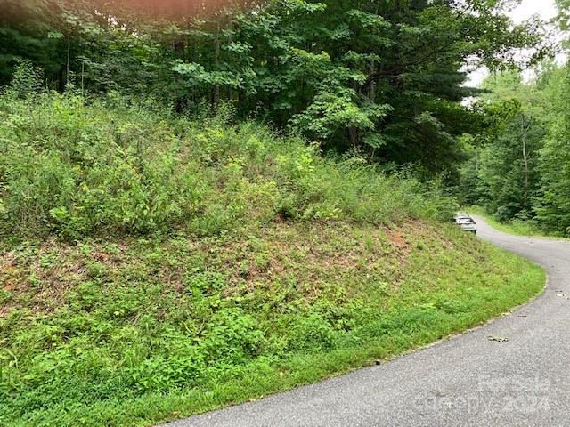 Property image 3 at Lot 49 50 Mckenzie Way, Old Fort, NC 28762