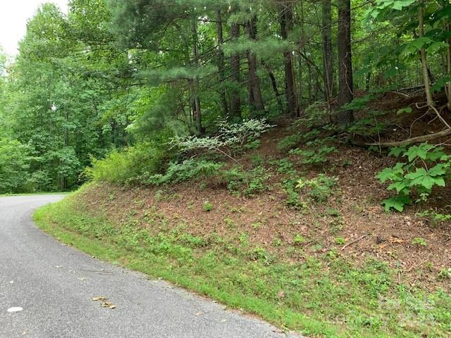 Property image 4 at Lot 49 50 Mckenzie Way, Old Fort, NC 28762