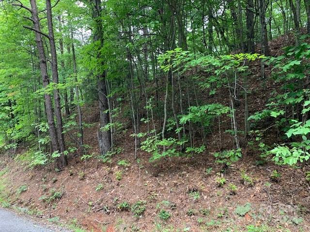 Property image 4 at Lots 198 200 Mckenzie Way, Old Fort, NC 28762