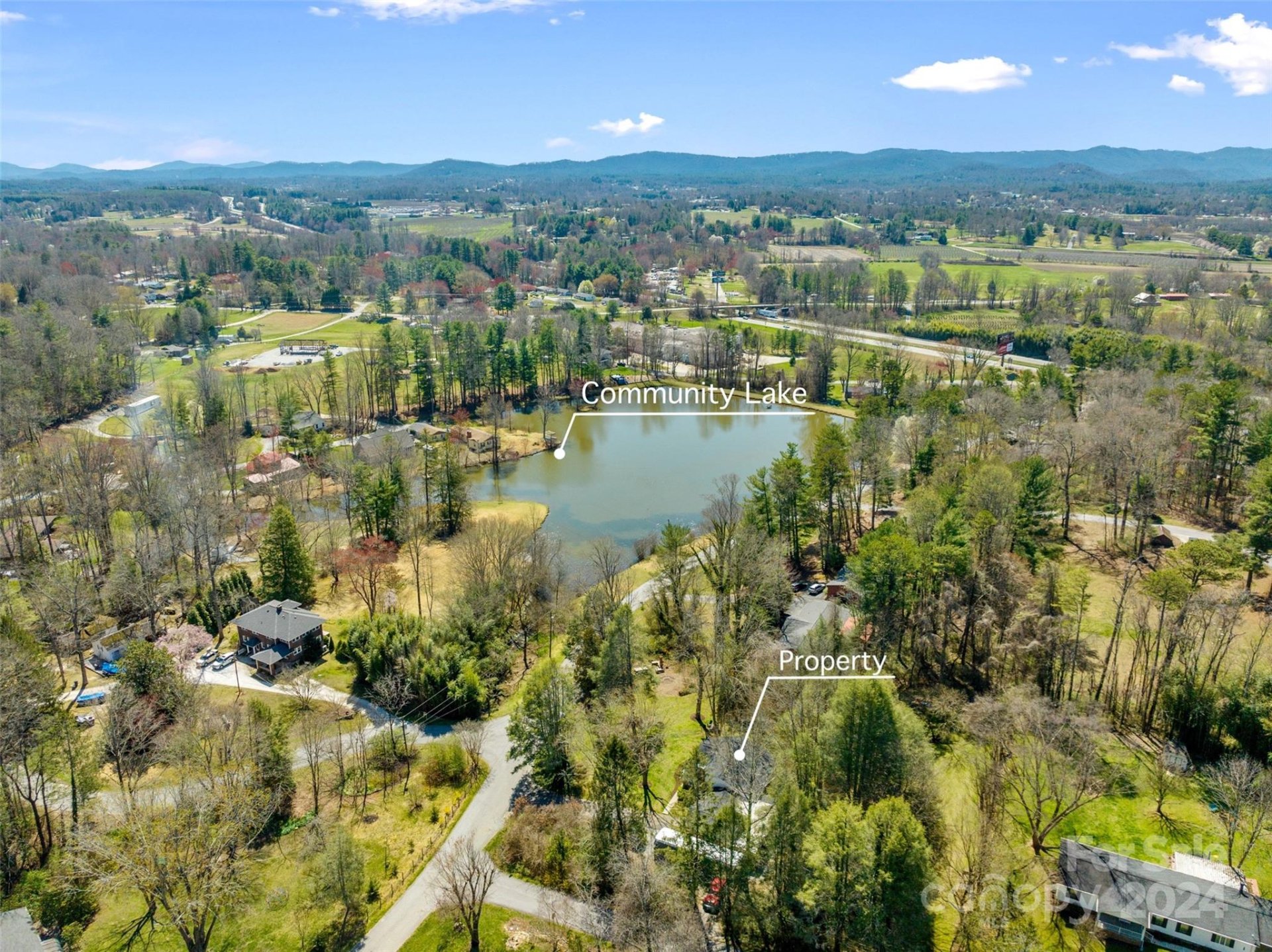 Property image 3 at 391 Wakefield Drive, Hendersonville, NC 28792
