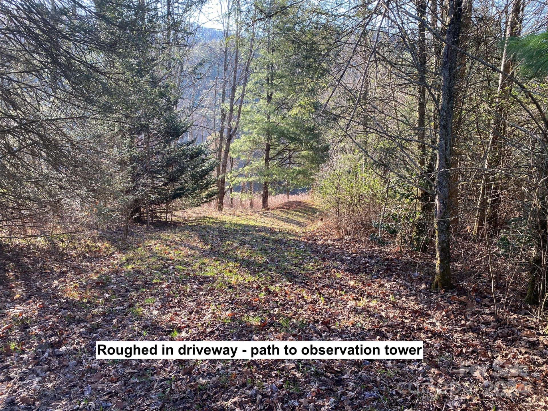 Property image 3 at Lot 16 Trillium Ridge Road, Cullowhee, NC 28723