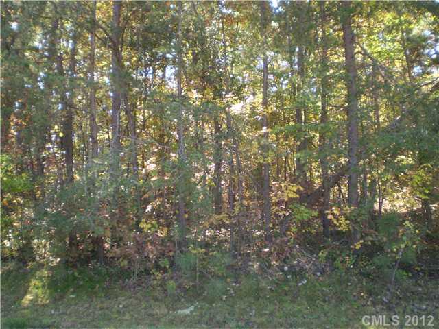 Property image 1 at Lot 2 Wrenn Drive, Denver, NC 28037