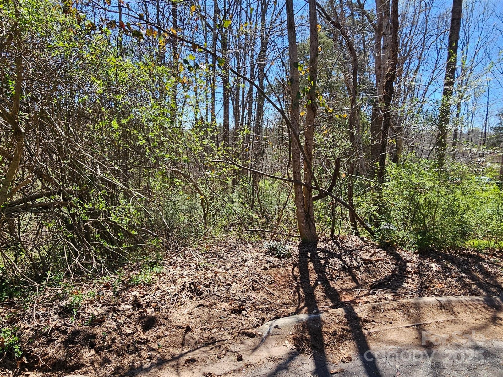 Property at 0 Gray Court, Rutherfordton, NC 28139