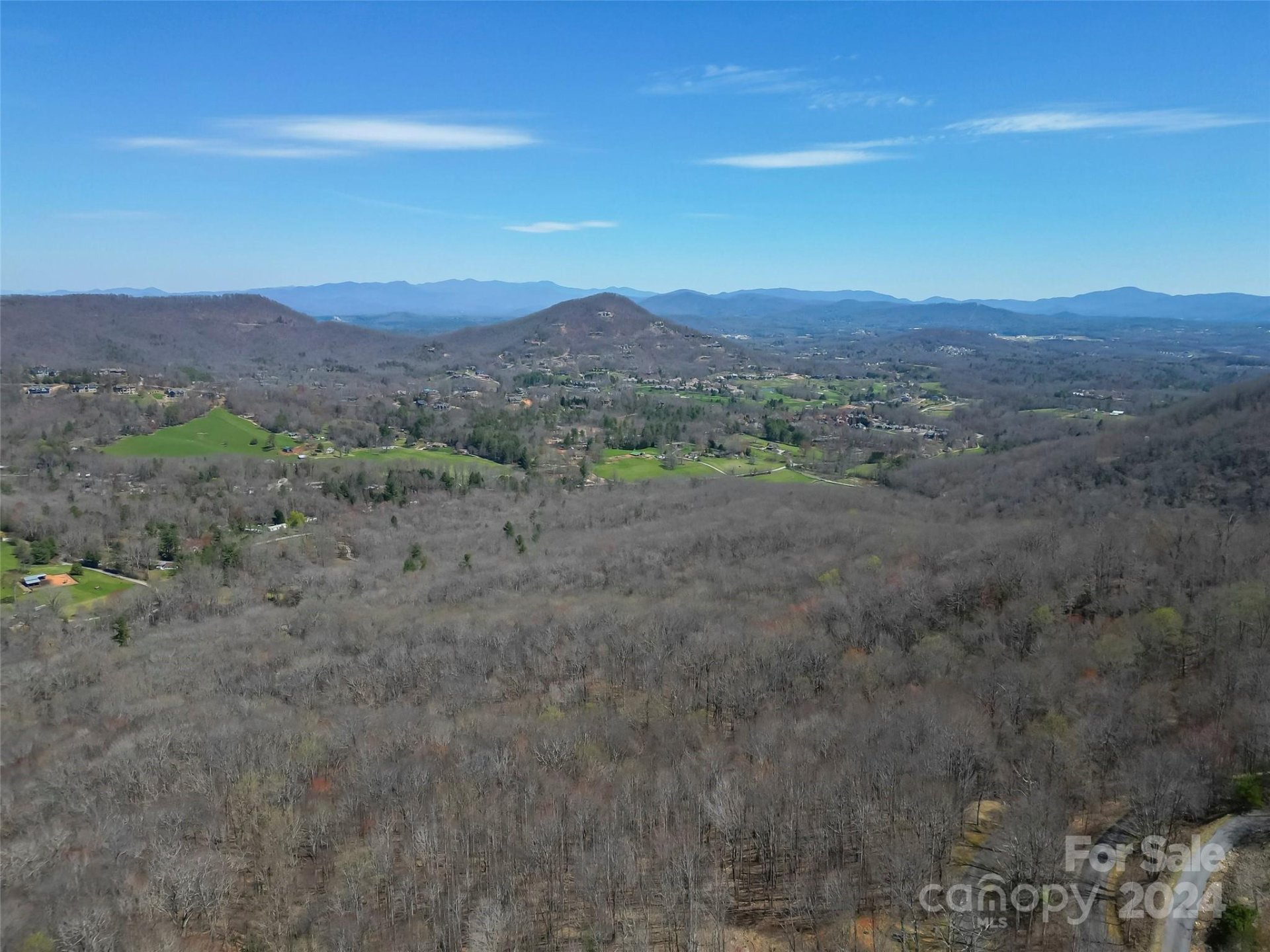 Property image 3 at 1316 Double Knob Drive, Arden, NC 28704