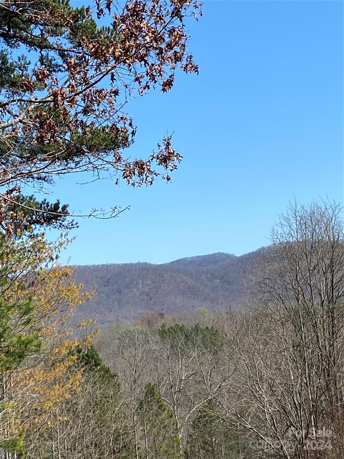 Property image 1 at Lot 23 Double Eagle Drive, Nebo, NC 28761