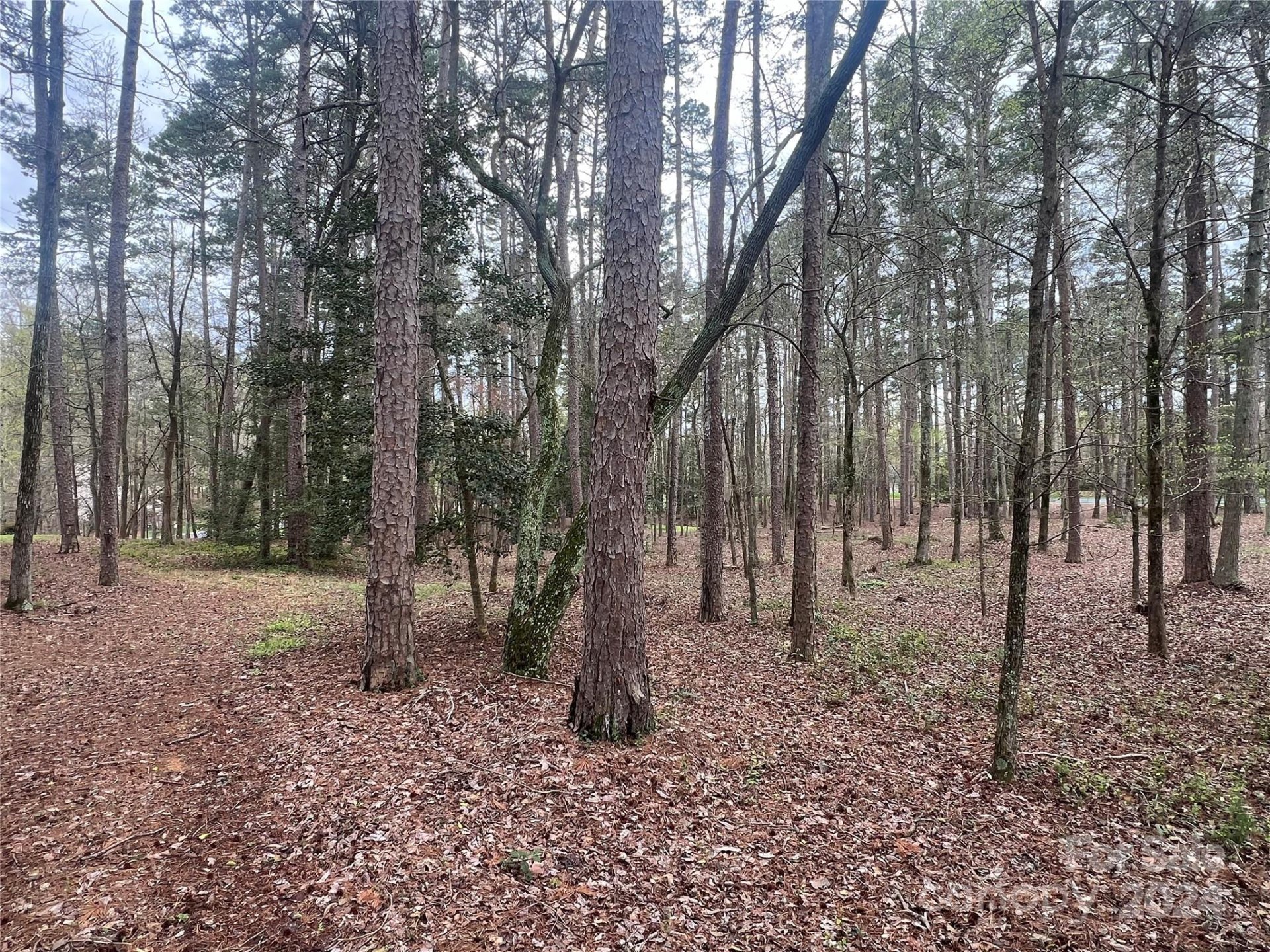 Property image 3 at 123 Coggins Mine None, New London, NC 28127