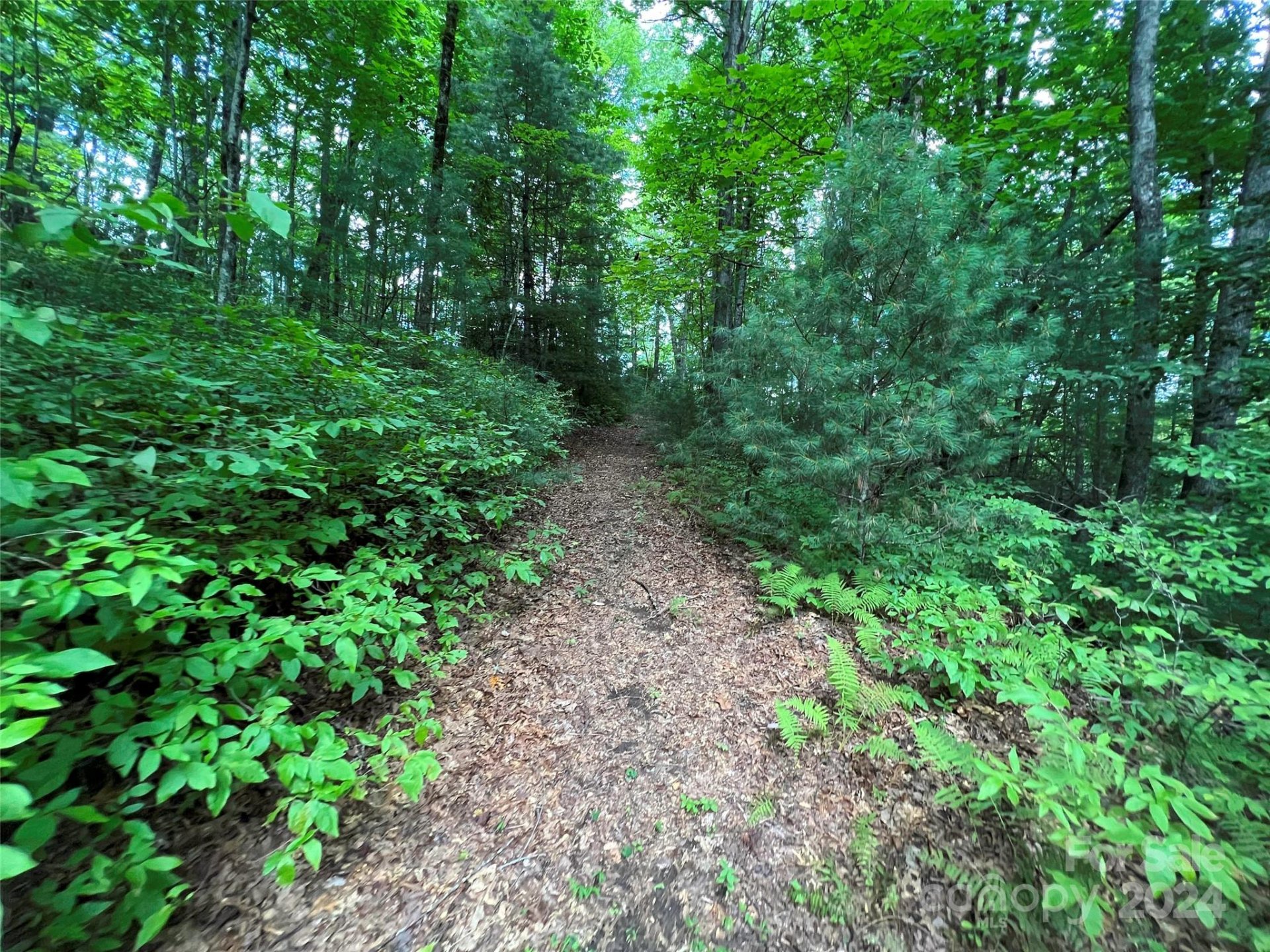 Property at 0000 Courtney Court, Brevard, NC 28712