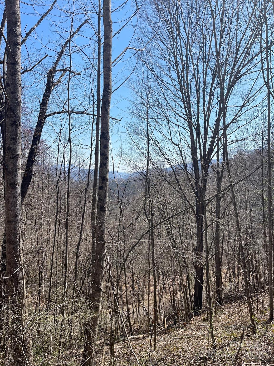 Property image 2 at 000 Trotters Trail, Waynesville, NC 28785