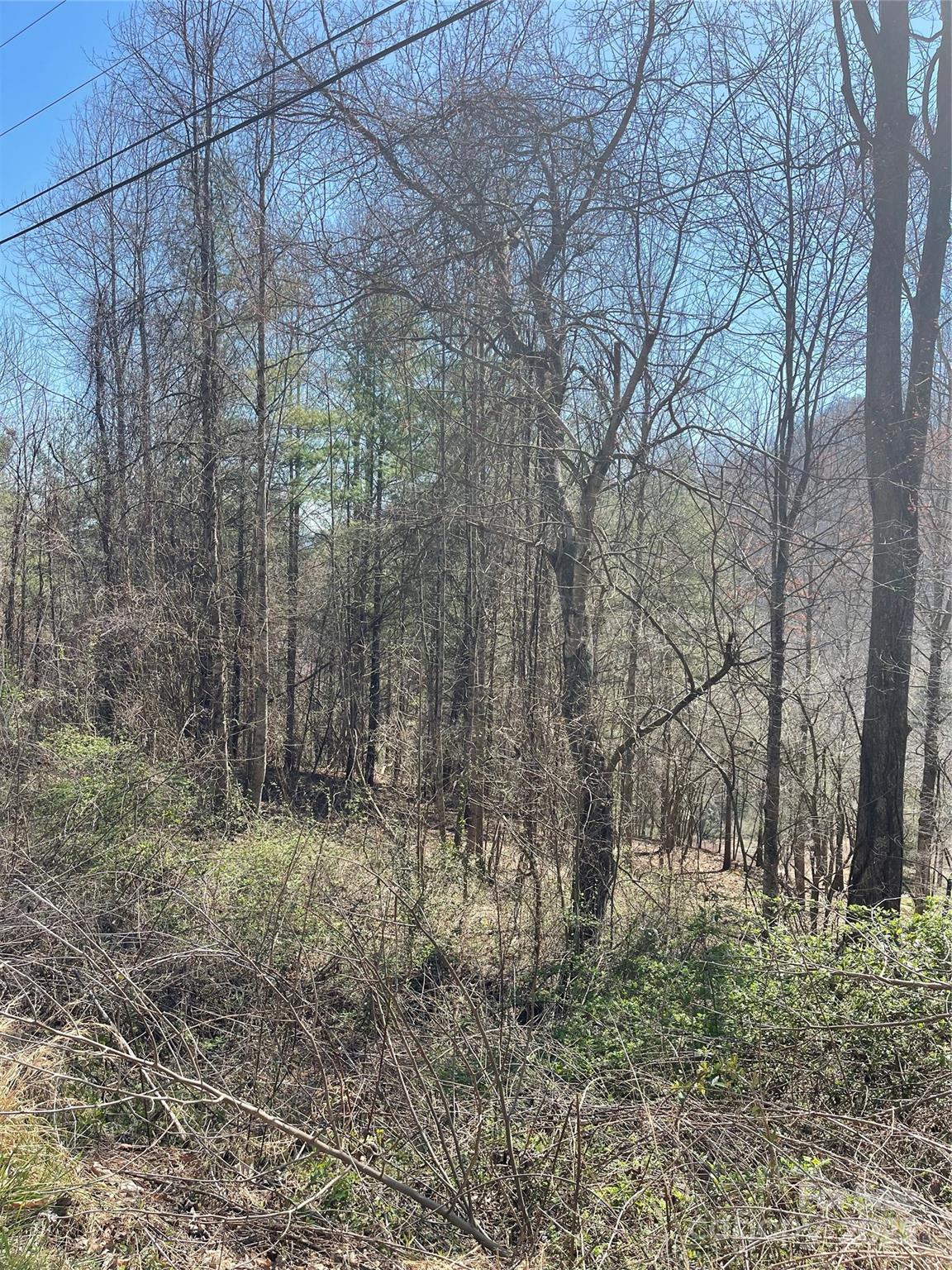 Property image 3 at 000 Trotters Trail, Waynesville, NC 28785