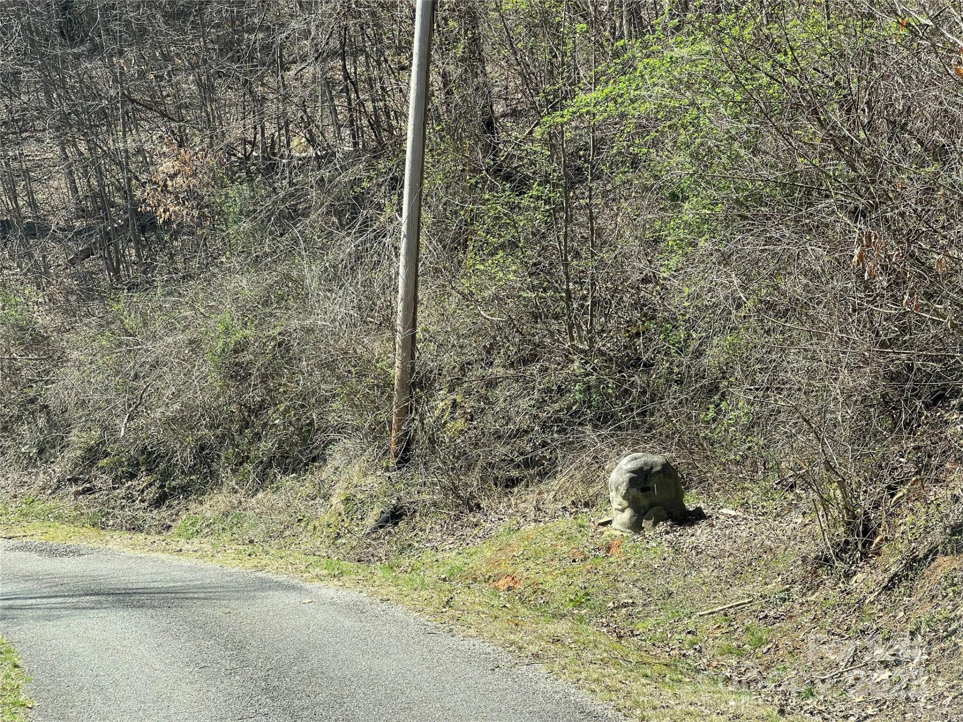 Property image 4 at 000 Trotters Trail, Waynesville, NC 28785