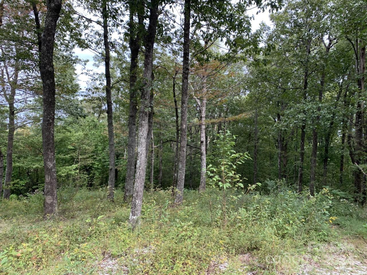 Property image 2 at 0 Wild Magnolia Way, Zirconia, NC 28790