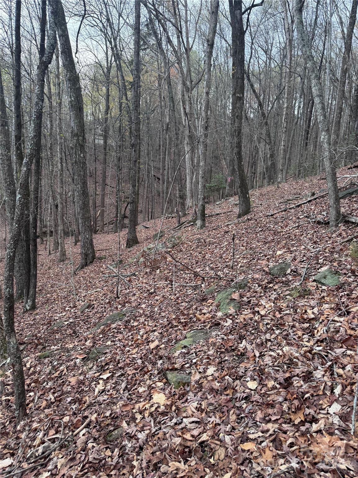 Property image 2 at 0 Wilkerson Court, Lake Lure, NC 28746