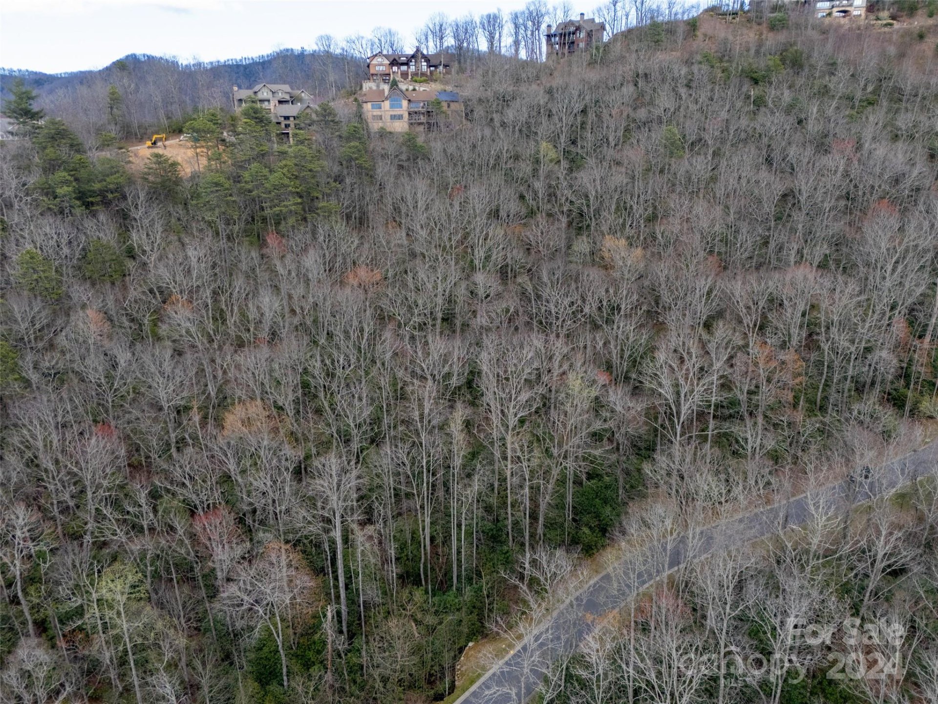 Property image 3 at 48 Settings Boulevard, Black Mountain, NC 28711