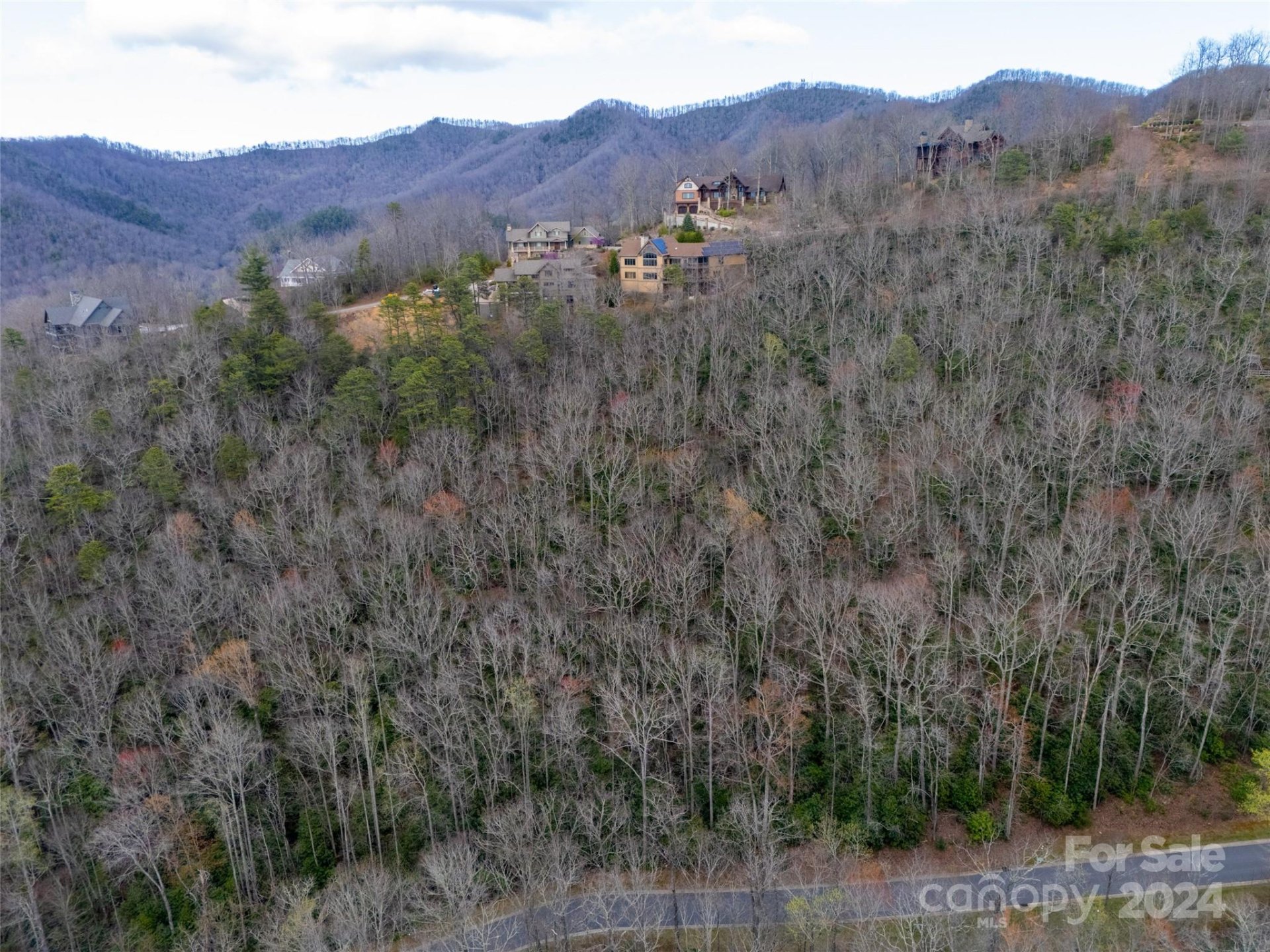 Property image 4 at 48 Settings Boulevard, Black Mountain, NC 28711