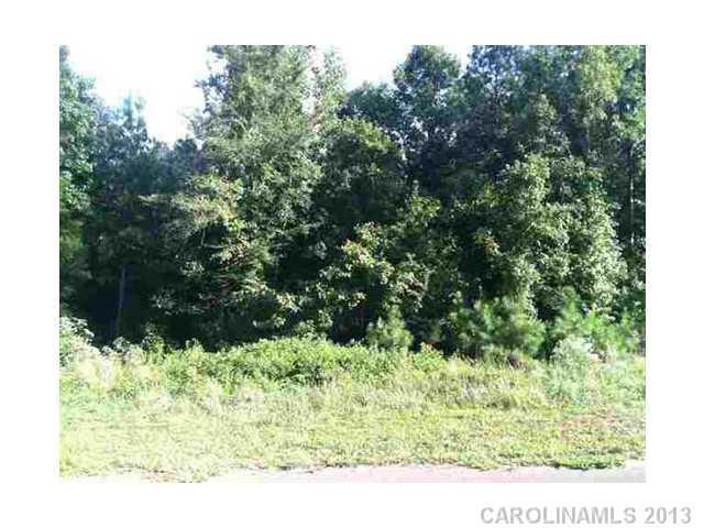 Property image 1 at 420 Shelby Ann Lane, Rock Hill, SC 29732