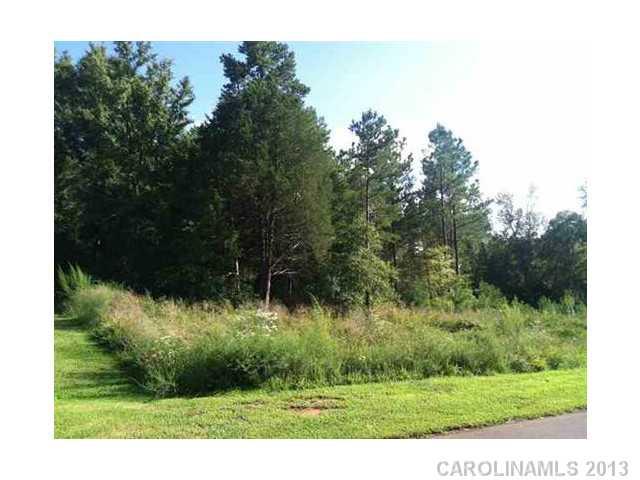 Property image 1 at 442 Shelby Ann Lane, Rock Hill, SC 29732