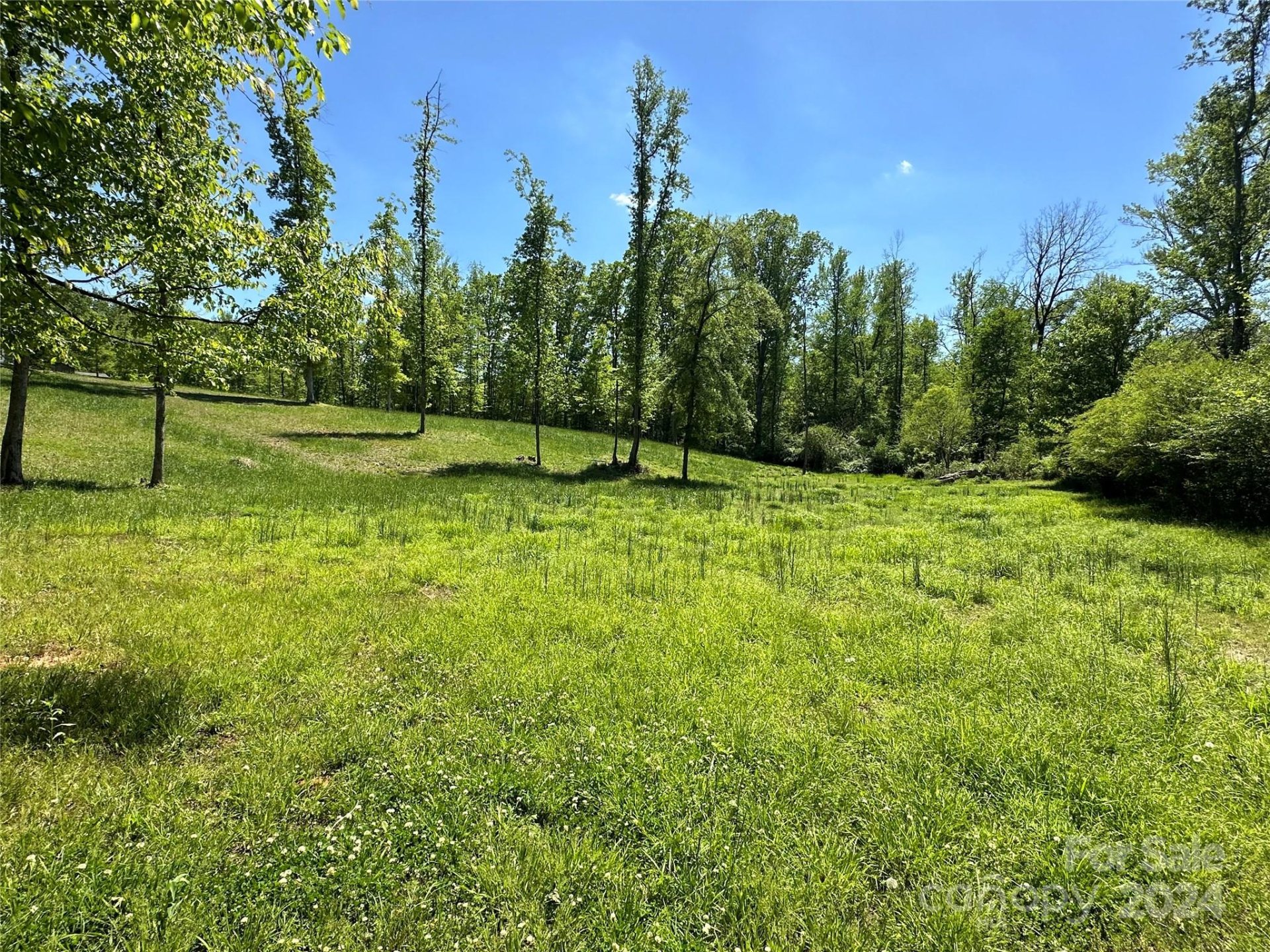 1643 Mallard Bay Drive