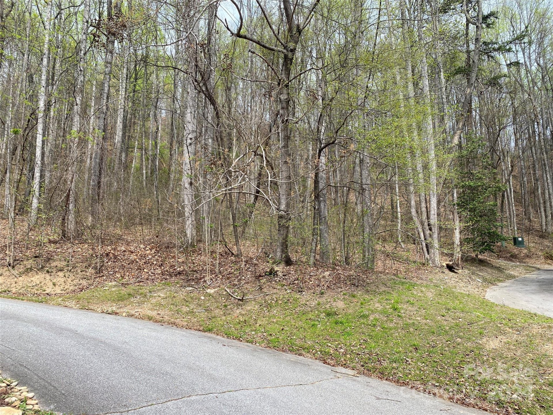 Property image 2 at 216 Cottage Side Trail, Travelers Rest, SC 29690