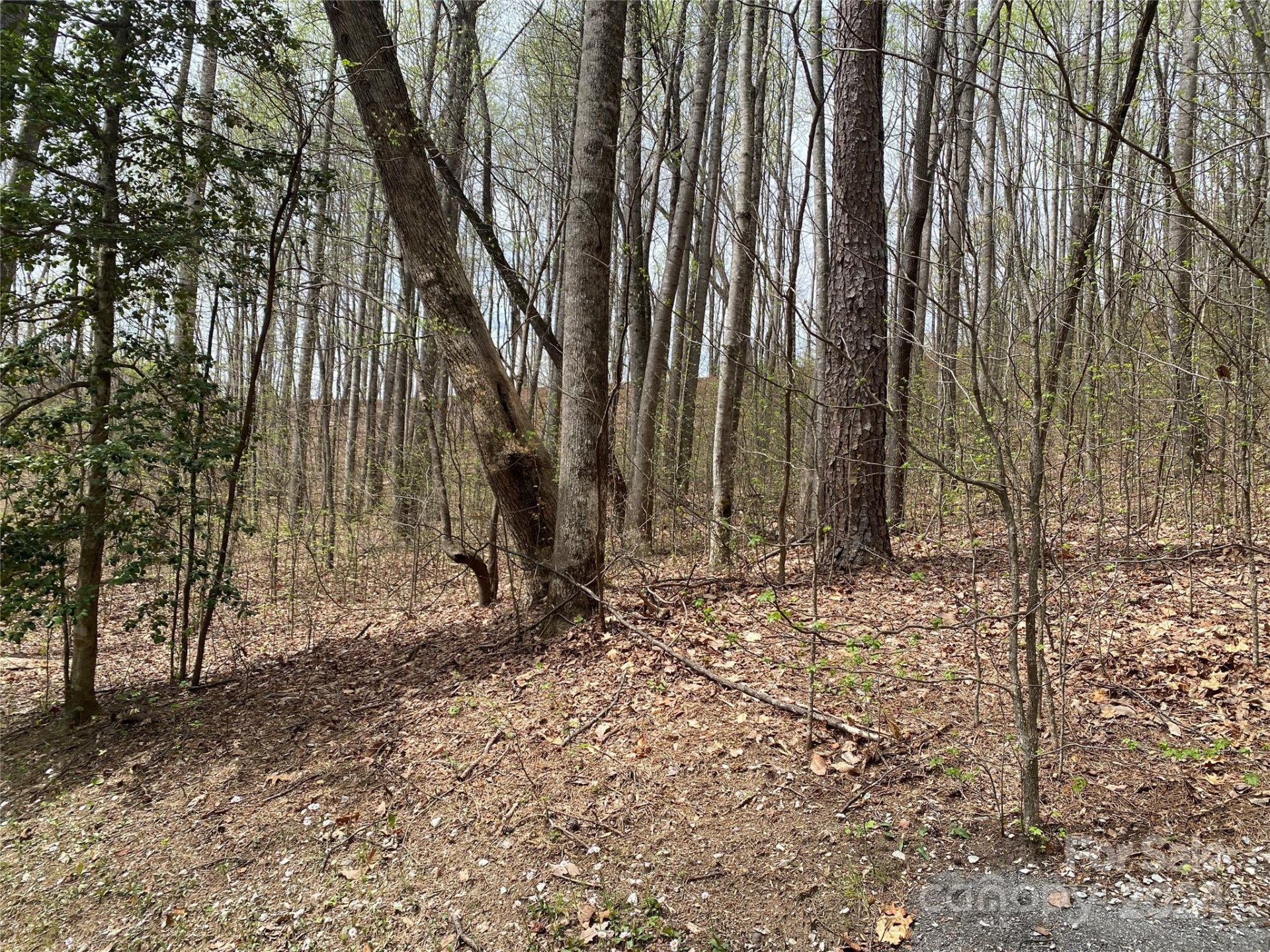 Property image 4 at 216 Cottage Side Trail, Travelers Rest, SC 29690