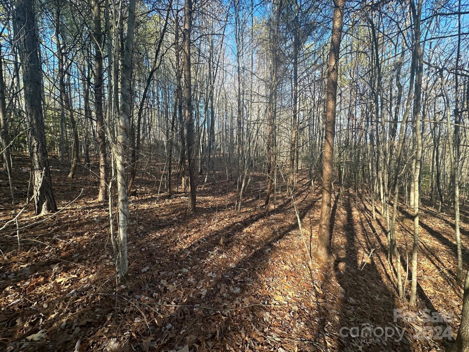 Property image 2 at 0000 Pine Cone Trail, Rutherfordton, NC 28139