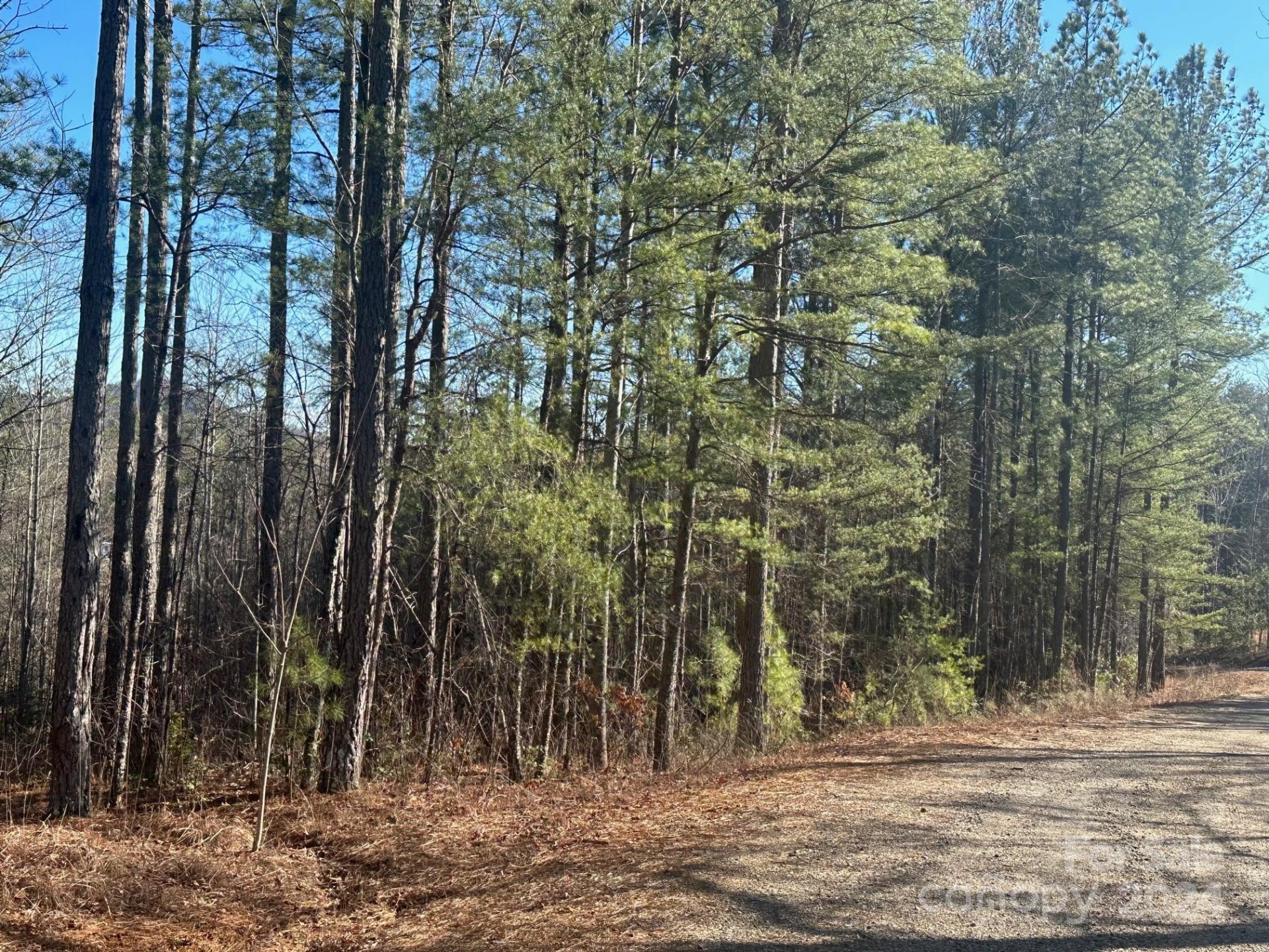 Property image 3 at 0000 Pine Cone Trail, Rutherfordton, NC 28139