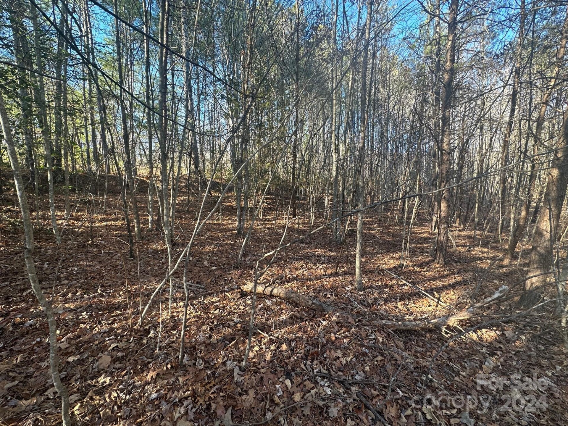 Property image 4 at 0000 Pine Cone Trail, Rutherfordton, NC 28139