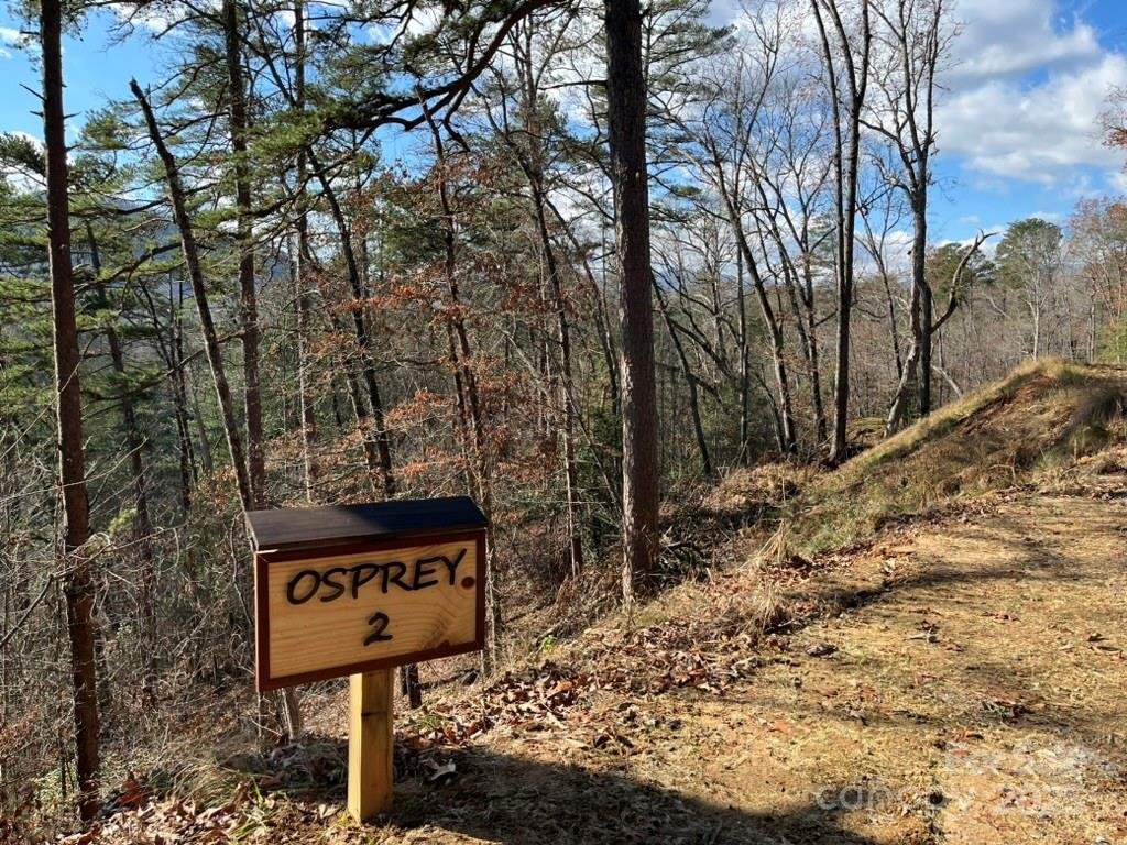 Property image 2 at Lot 2 Osprey Mountain Way, Sylva, NC 28779