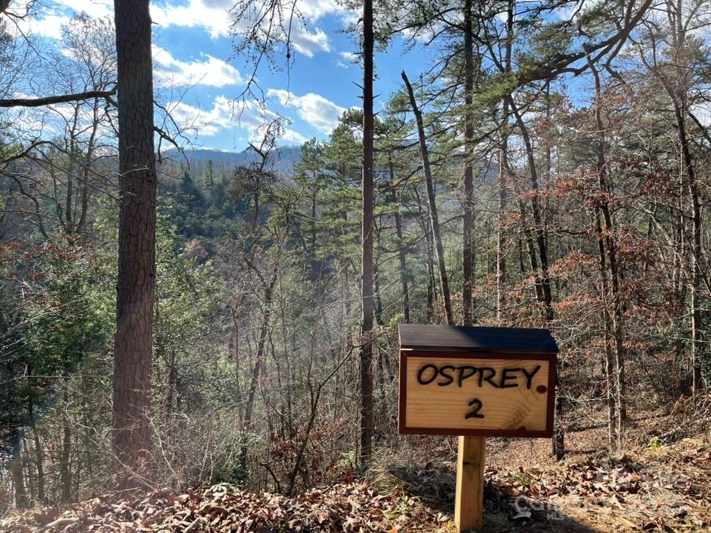 Property image 3 at Lot 2 Osprey Mountain Way, Sylva, NC 28779