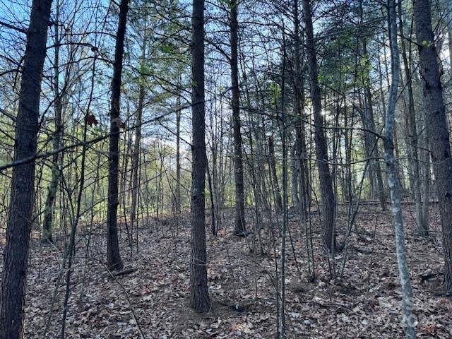 Property image 1 at Tbd High Trail Drive, Nebo, NC 28761