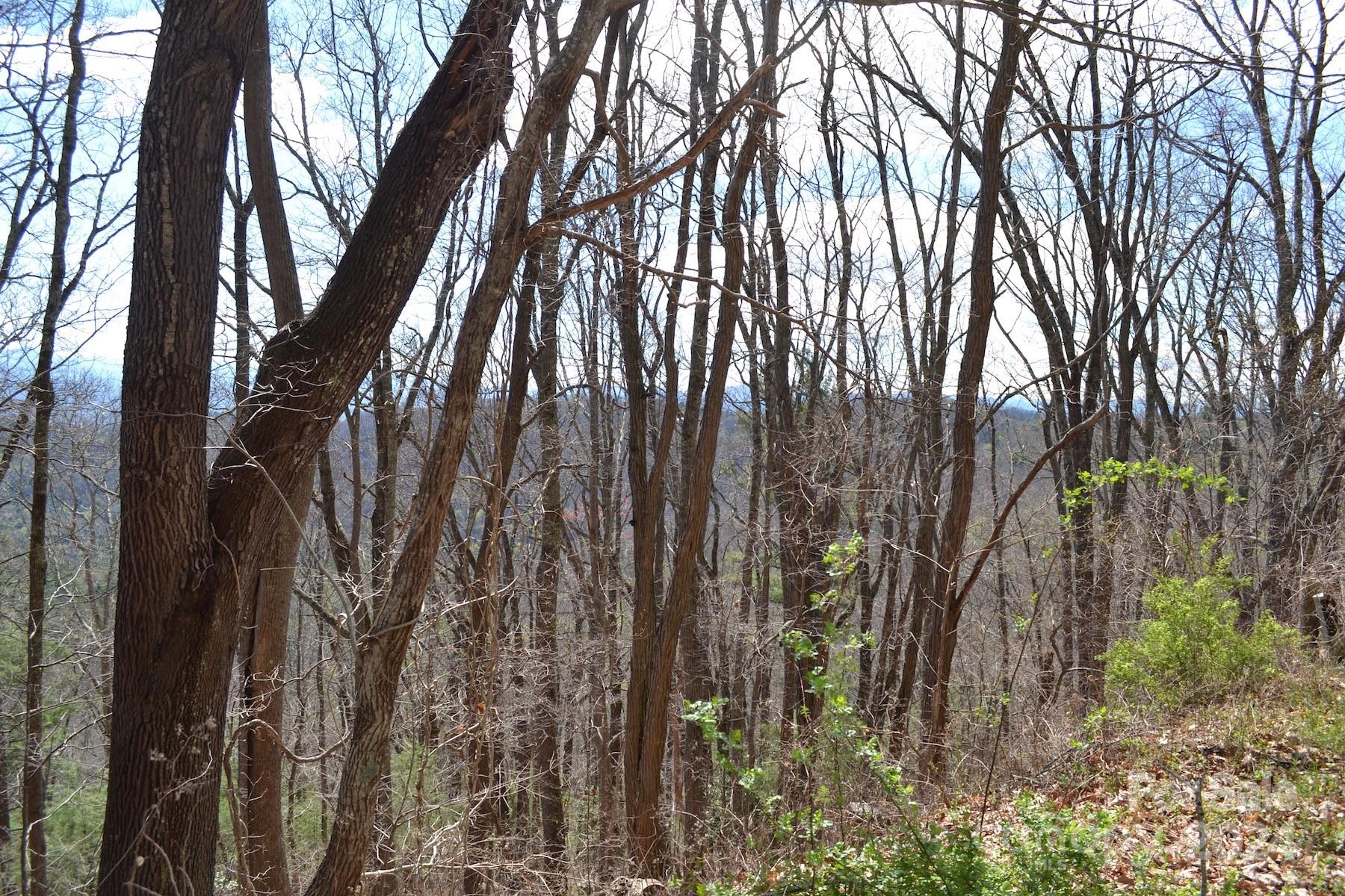 Property image 2 at Lot 8 Town Mountain Road, Asheville, NC 28804