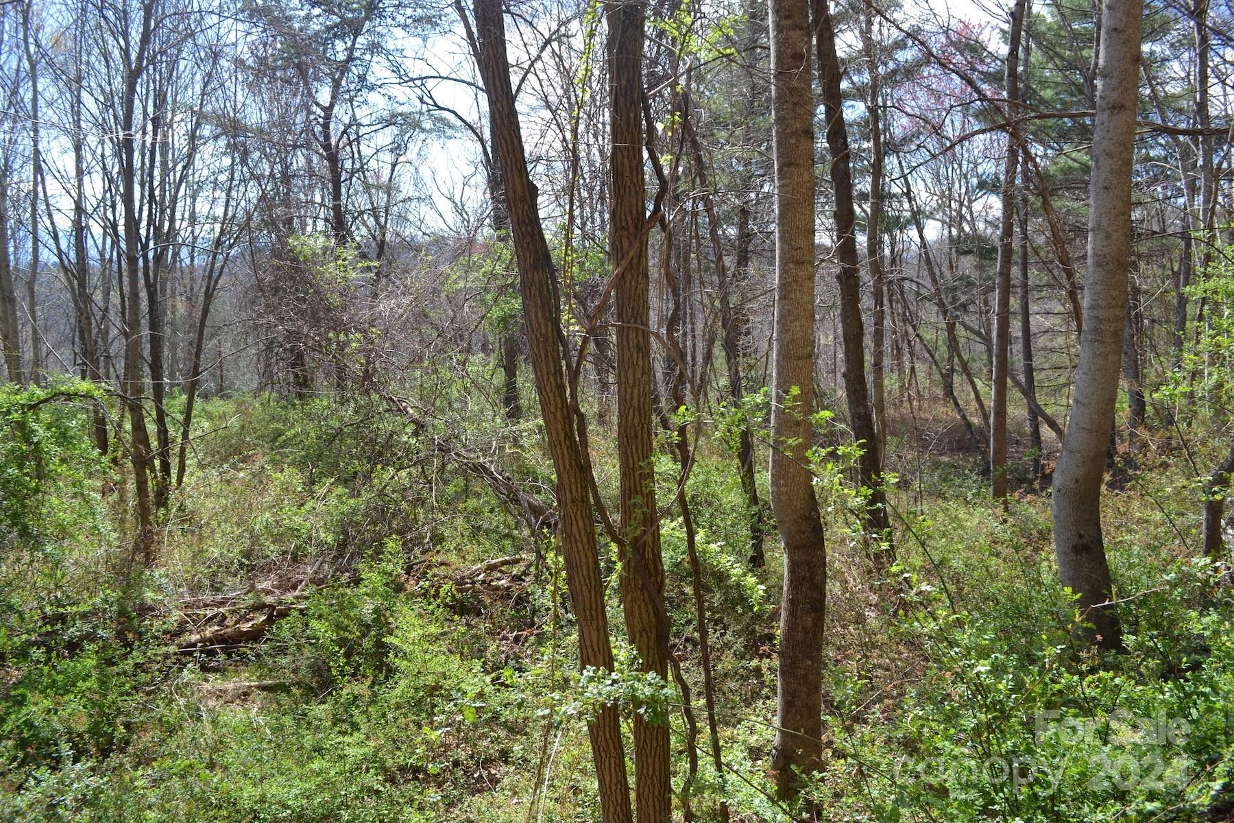 Property image 5 at Lot 8 Town Mountain Road, Asheville, NC 28804