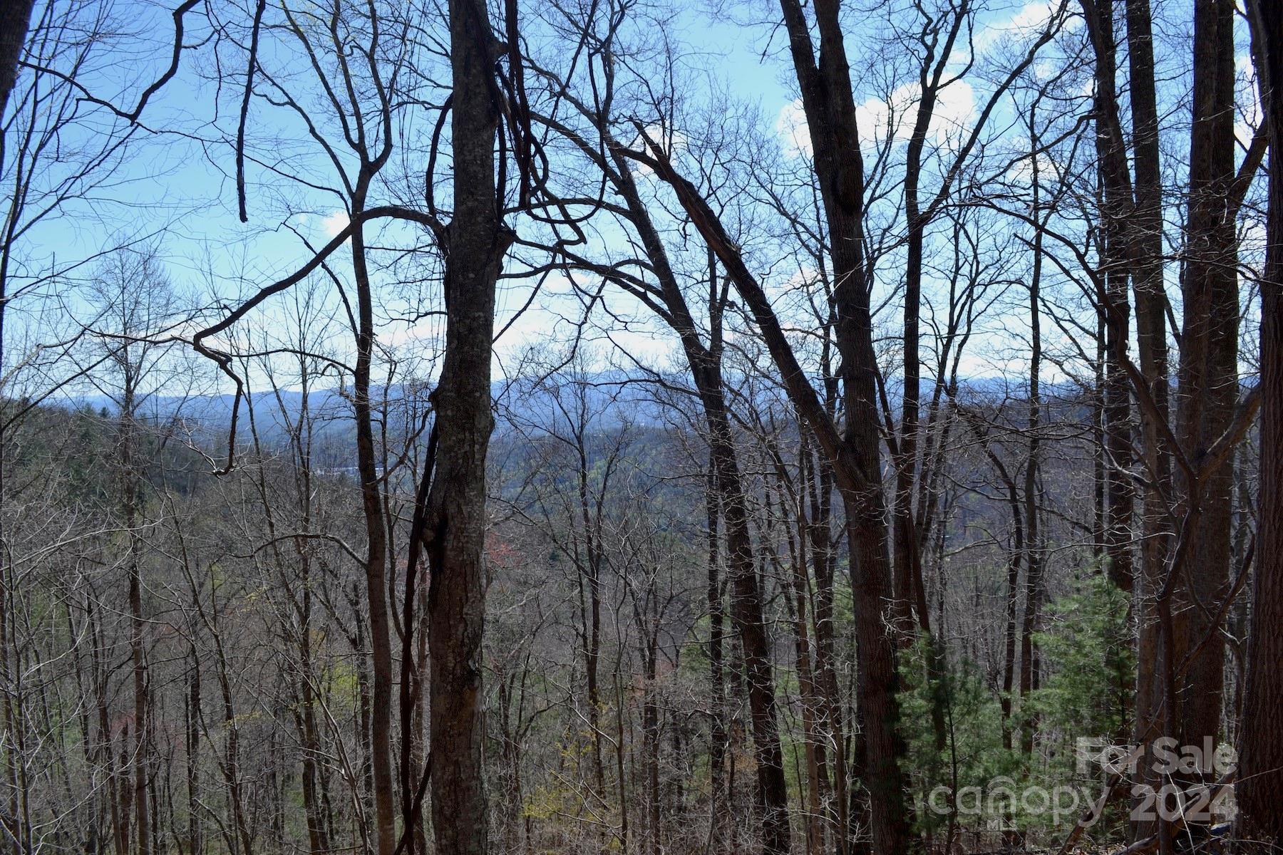 Property image 4 at Lot 9 Town Mountain Road, Asheville, NC 28804