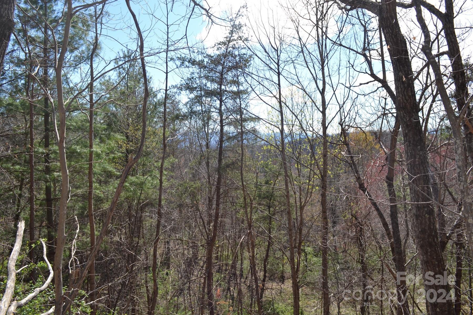Property image 5 at Lot 9 Town Mountain Road, Asheville, NC 28804