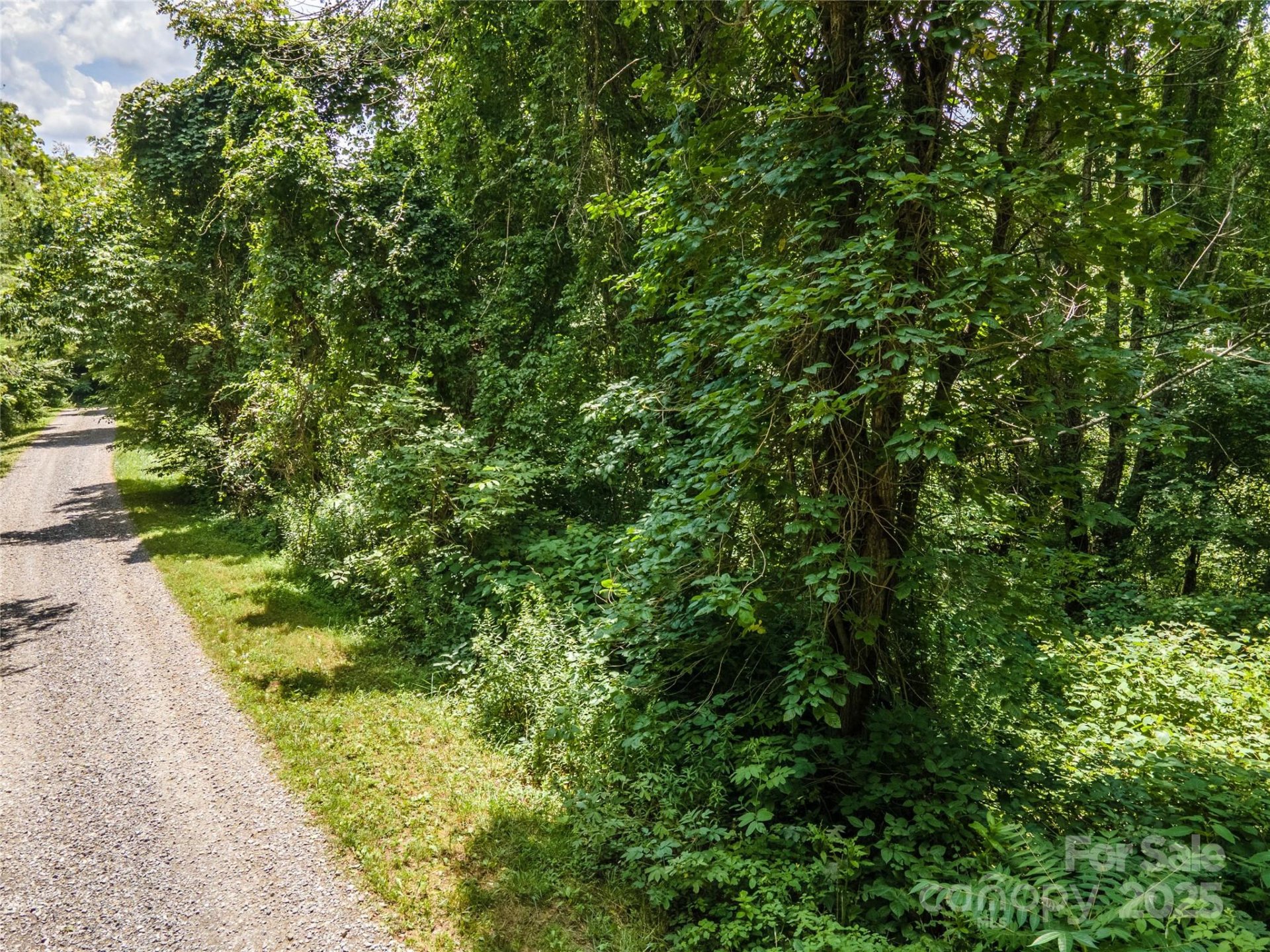 Property at 00 Lake Drive, Leicester, NC 28748